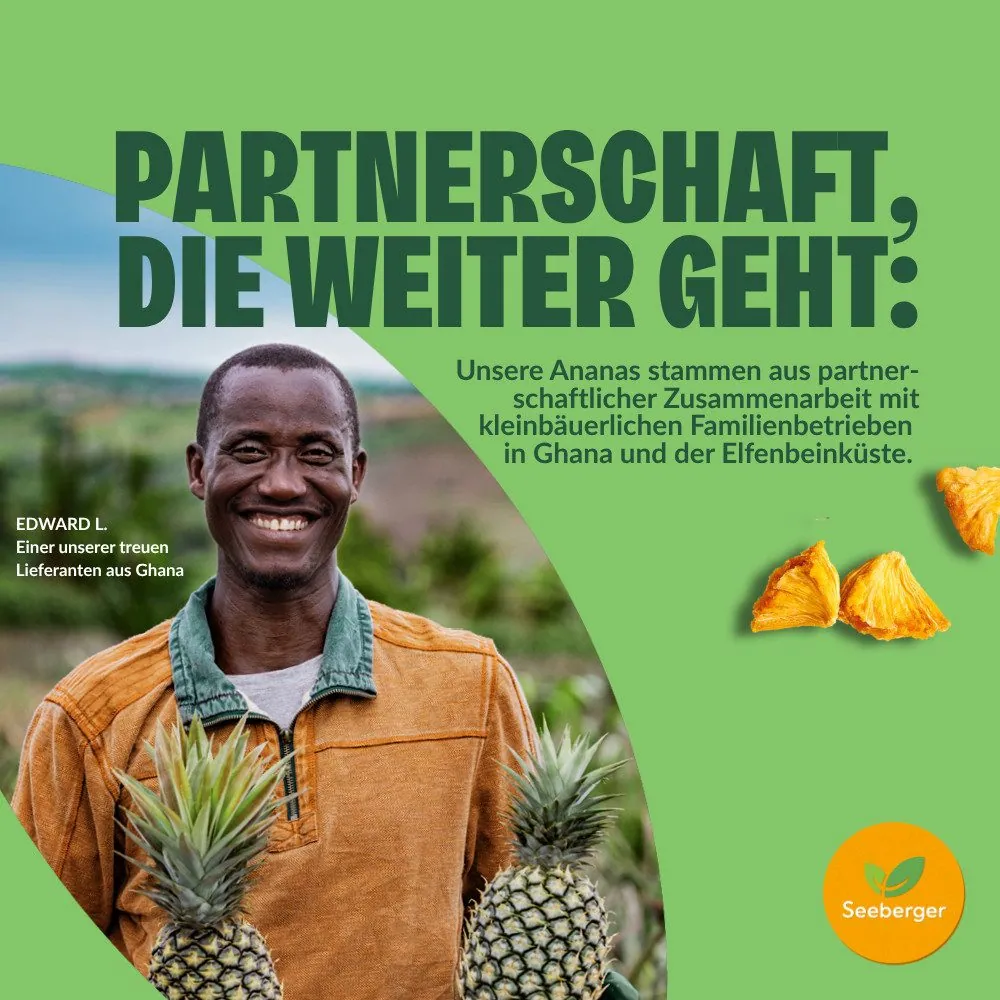 Seeberger Trockenfrüchte Ananas ungezuckert, fairtrade, 6×100 g 3