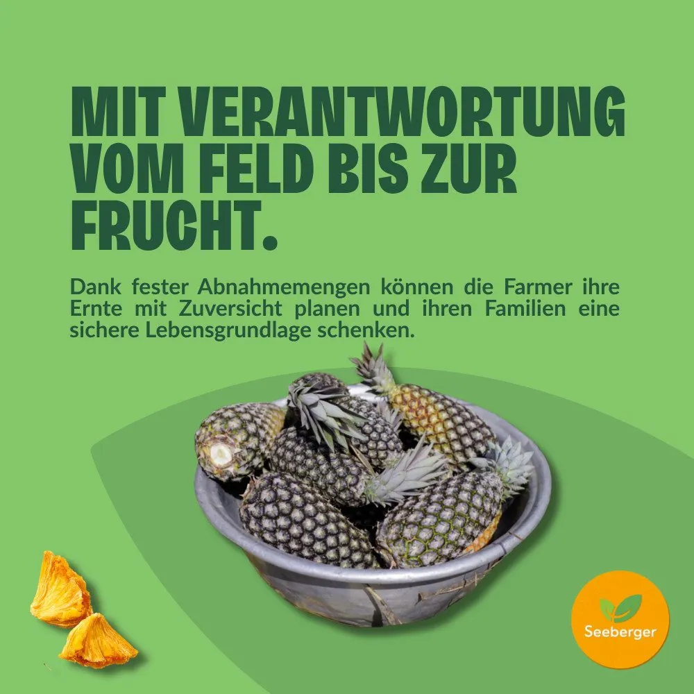 Seeberger Trockenfrüchte Ananas ungezuckert, fairtrade, 6×100 g 5