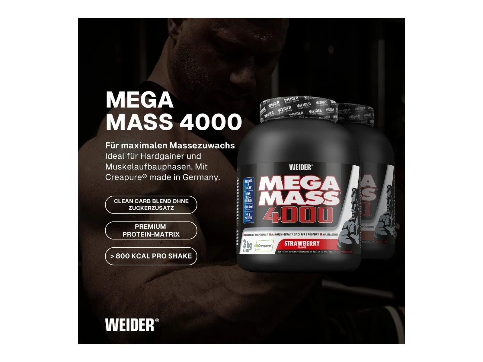 Weider Mega Mass 4000 Pulver, eiweißreich, Weight Gainer 2